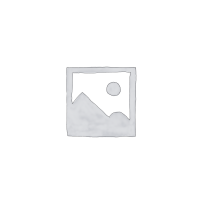 Dental Plasters